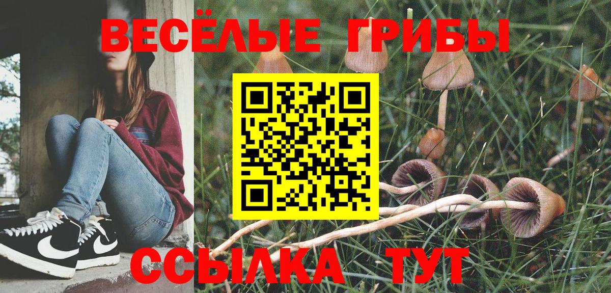 Галлюциногенные грибы Cubensis  купить закладку  Вход с VPN  Советская Гавань  Галлюциногенные грибы Magic Shrooms 