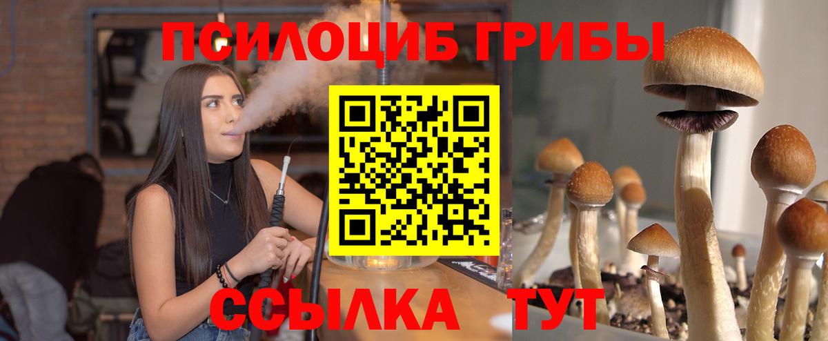 Галлюциногенные грибы мицелий Советская Гавань